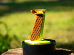 VOID (T.K.) Mathews Bow Grip (VOID STAR Pattern)